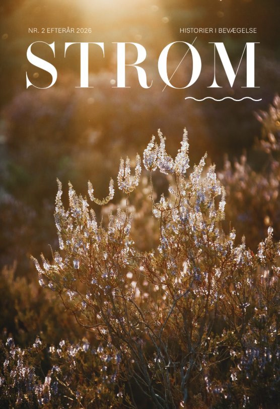 Magasinet STRØM nr. 2